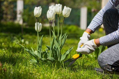 Professional garden clearance team at work in Gunnersbury