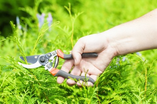 Hedge trimming service in a Gunnersbury street garden