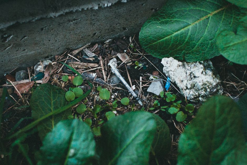 A close-up image of a garden bed positioned against a concrete wall, featuring a mix of plant life and garden debris. Prominent in the scene are large, textured green leaves with visible veins, likely